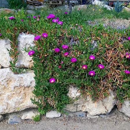 Chez Chris Et Marie Les Mages