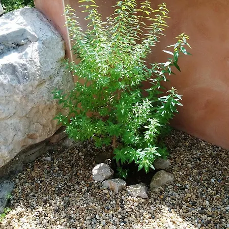 בית נופש Chez Chris Et Marie