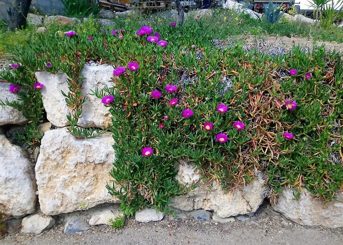 Chez Chris Et Marie Les Mages